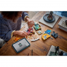 LEGO HARRY POTTER - 76462 Zweinstein Afdelingswapen
