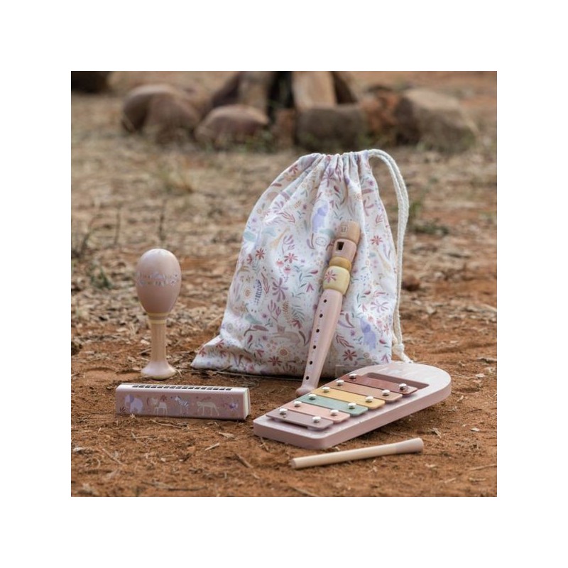 Muziekset roze - Safari Friends - Little Dutch