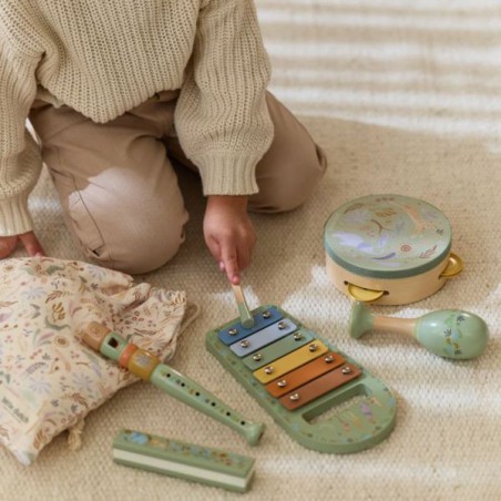 Muziekset groen - Safari Friends - Little Dutch