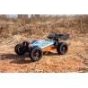 Z06 B2 Buggy, RTR, DF Models