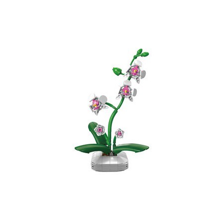 CaDA C59028W - Orchidee plant - Creative Serie
