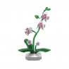 CaDA C59028W - Orchidee plant - Creative Serie