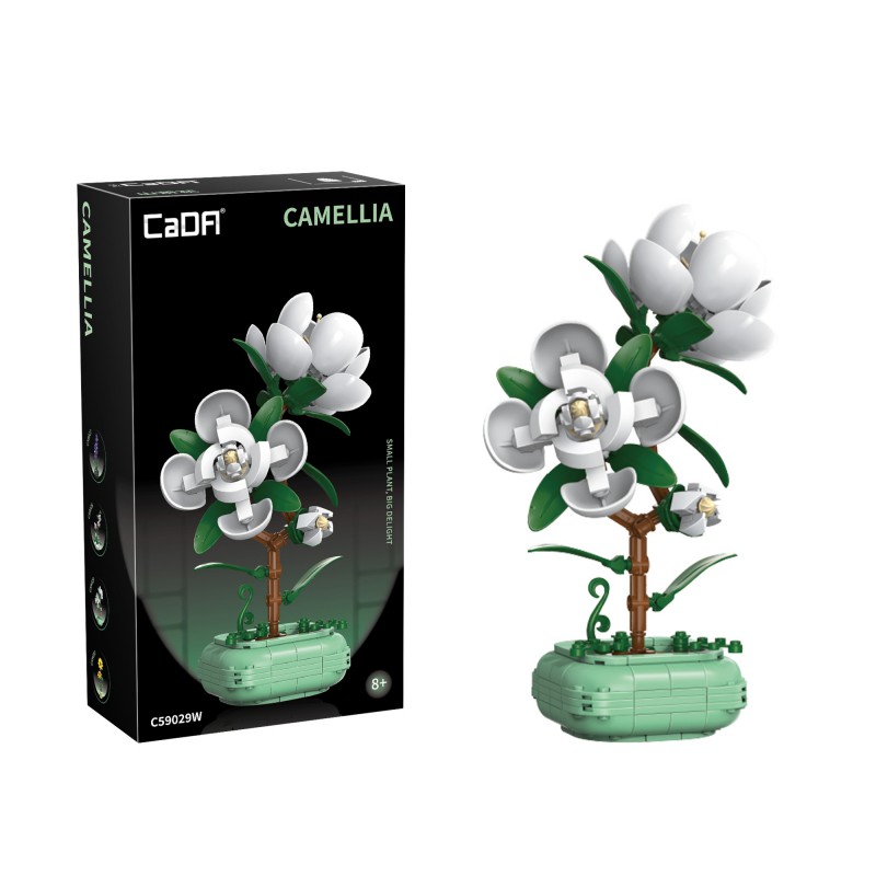 CaDA C59029W - Camelia plant - Creative Serie