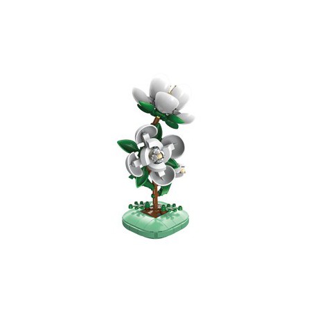 CaDA C59029W - Camelia plant - Creative Serie