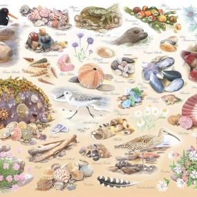 Sea shore, 500 XL stukjes House of Puzzels