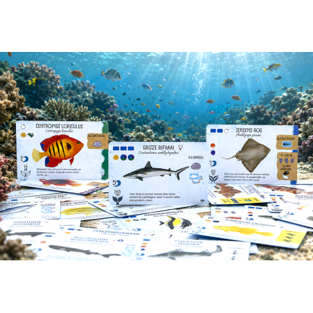 Finspan Haaien en Riffen - uitbreiding, 999 Games