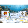 Finspan Haaien en Riffen - uitbreiding, 999 Games
