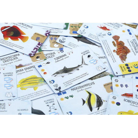 Finspan Haaien en Riffen - uitbreiding, 999 Games