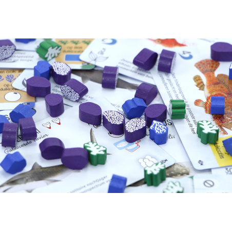 Finspan Haaien en Riffen - uitbreiding, 999 Games