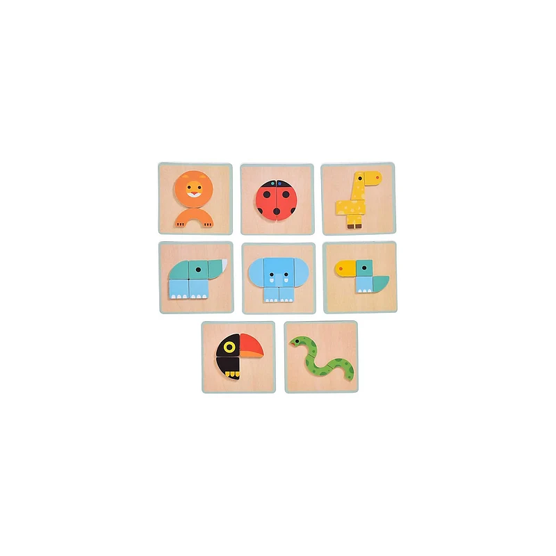 Djeco - Geobasic magnetic game dieren