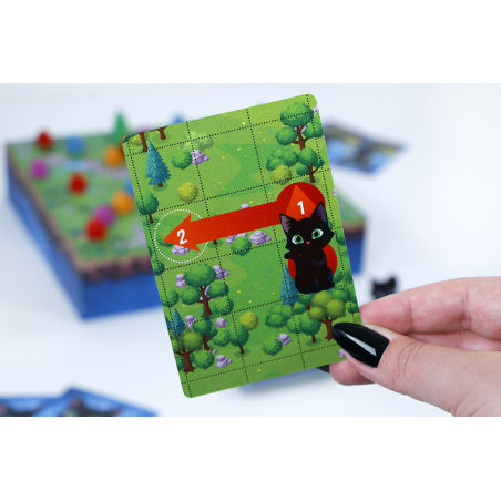 Kattenkwaad Bordspel, 999 Games