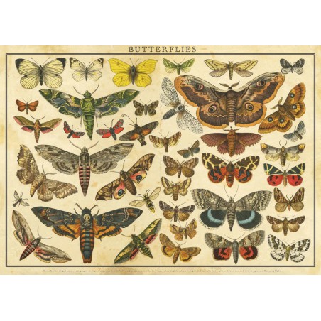 Puzzle Vintage nature No.1, 2000 stukjes Interdruk