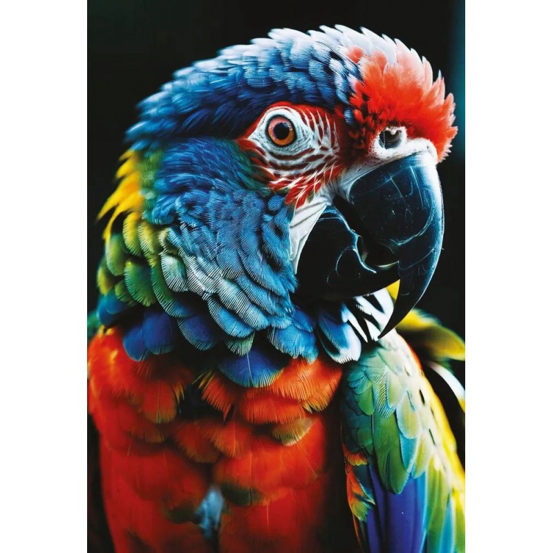 Puzzle Colourful Nature 8 - Parrot, 250 stukjes Interdruk