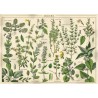 Puzzle Vintage Nature No.1, 1000 stukjes Interdruk