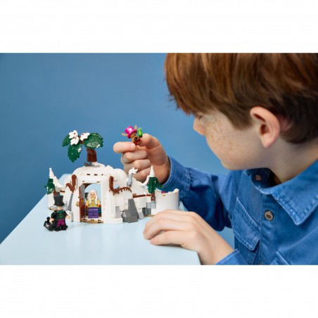 LEGO ONE PIECE -75641 De schuilplaats van Dr. Hiriluk
