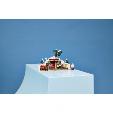 LEGO ONE PIECE -75641 De schuilplaats van Dr. Hiriluk