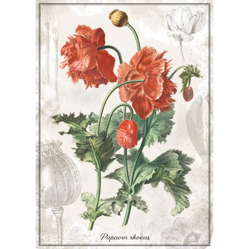 Puzzle Botanic Poppy 1000 stukjes Interdruk