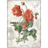 Puzzle Botanic Poppy 1000 stukjes Interdruk