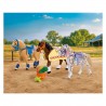 Playmobil I Love Horses - Drie verzamelpaarden, 72133