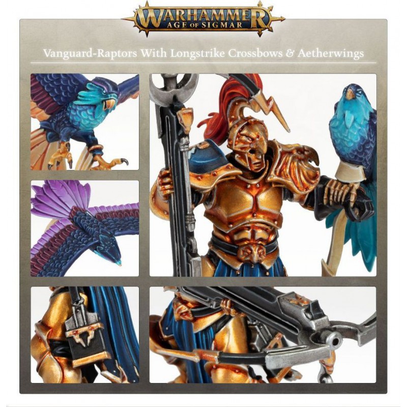Stormcast Eternals, Vanguard-Raptors, Warhammer Age of Sigmar