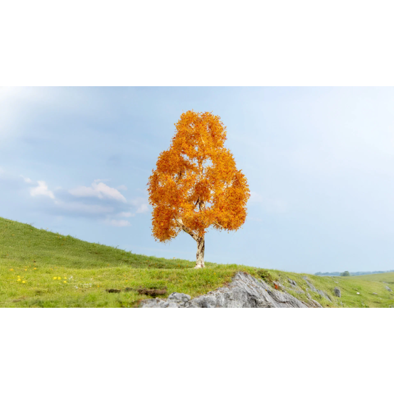 Berken Herfst, 1 Stuks, 21 CM, Noch H0, 20129