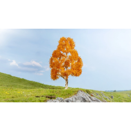 Berken Herfst, 1 Stuks, 21 CM, Noch H0, 20129