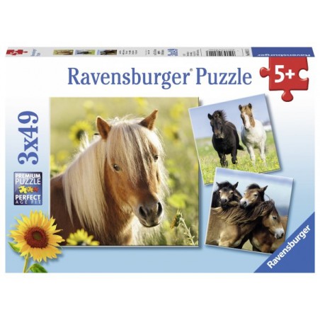 schattige pony's 3x 49 stukjes Ravensburger