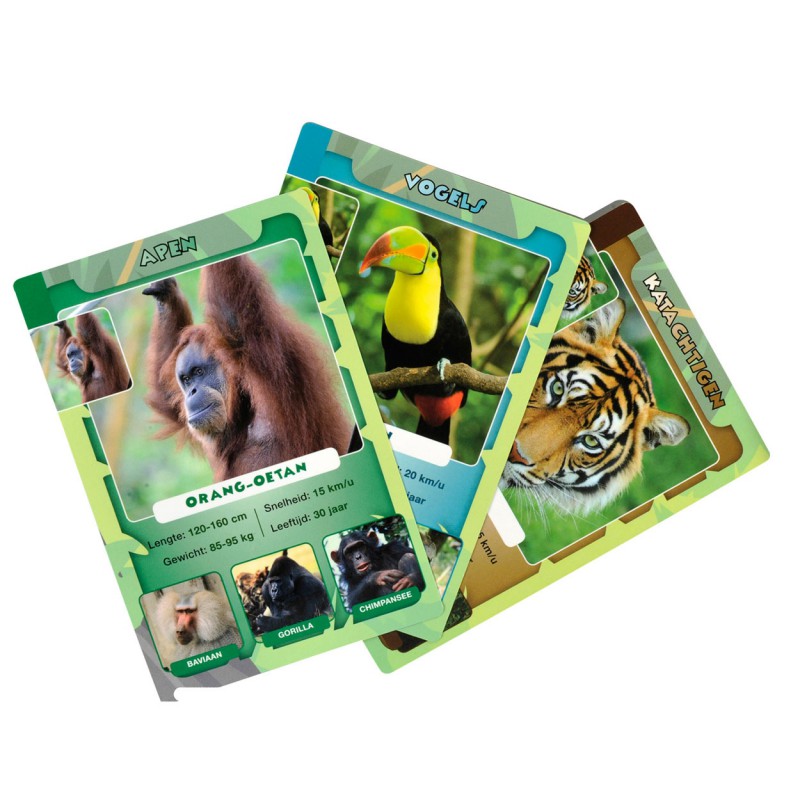 Junglelife Weetjes Kwartet