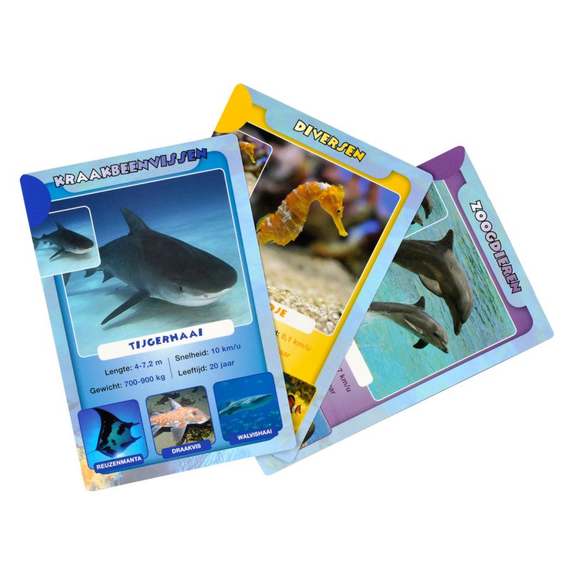 Sealife Weetjes Kwartet